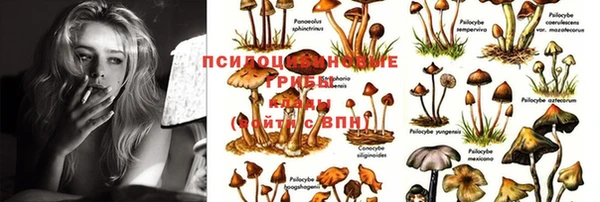 PSILOCYBIN Алексин