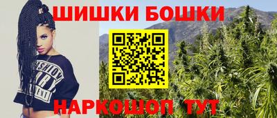 сатива Беслан