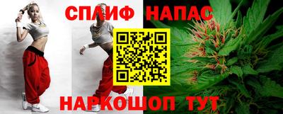 сатива Беслан