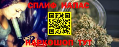 сатива Беслан