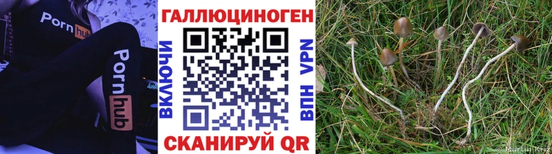 Псилоцибиновые грибы прущие грибы  Санкт-Петербург 