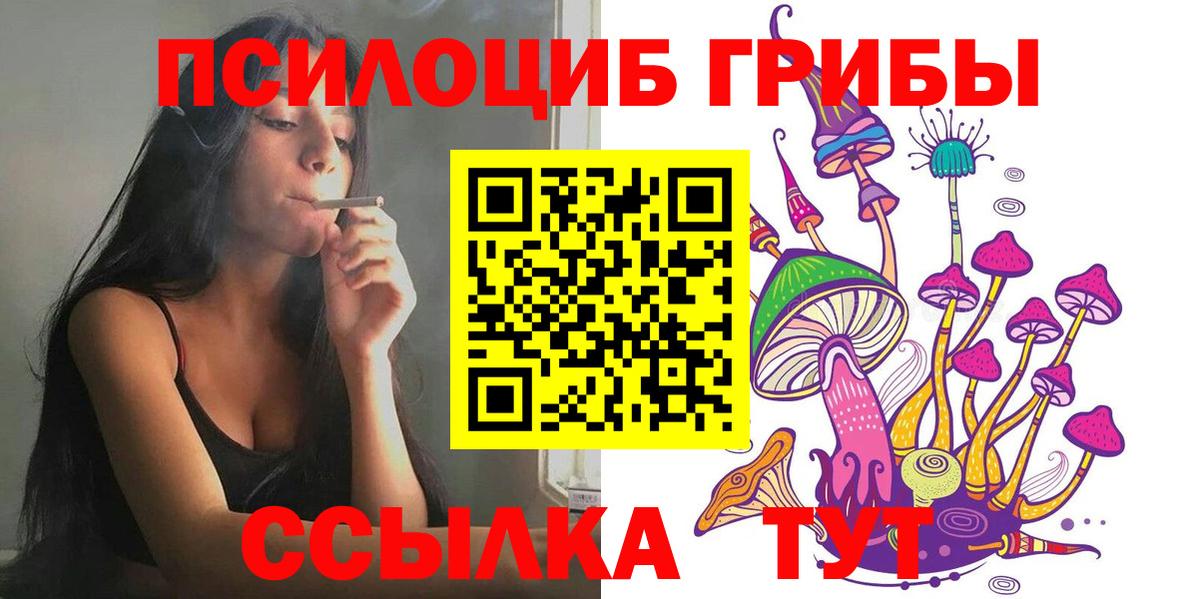Санкт-Петербург  Галлюциногенные грибы мухоморы  Галлюциногенные грибы Psilocybe  даркнет сайт  Вход с VPN 