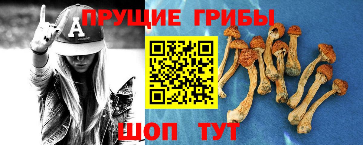 Псилоцибиновые грибы MAGIC MUSHROOMS Санкт-Петербург